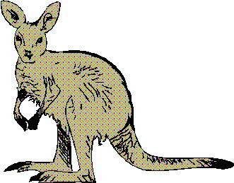 kangaroo # 1